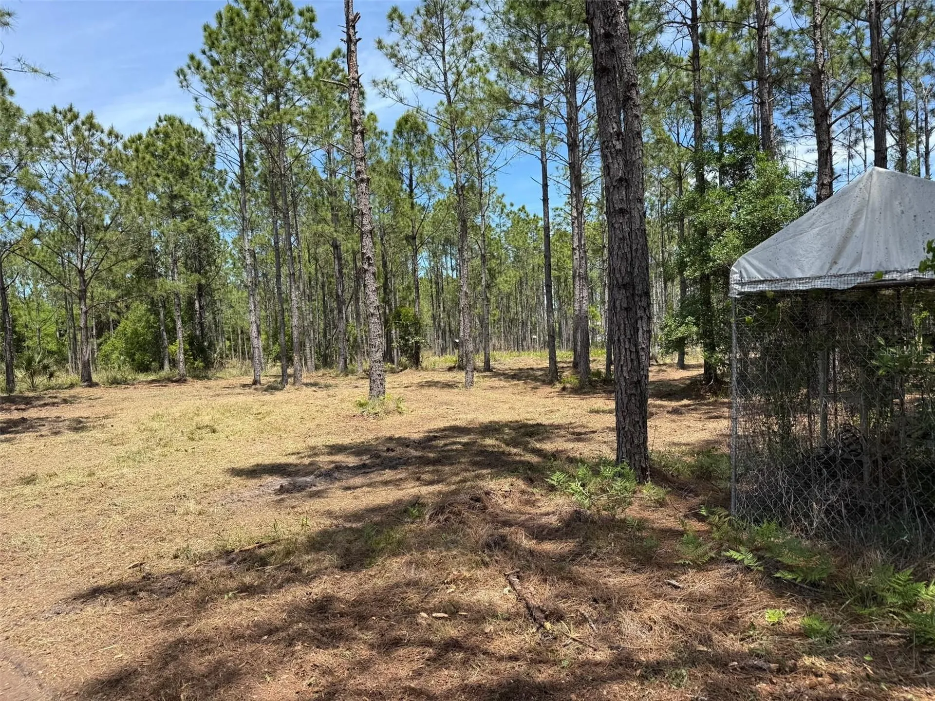 60 Natalies Lane Ormond Beach FL 32174