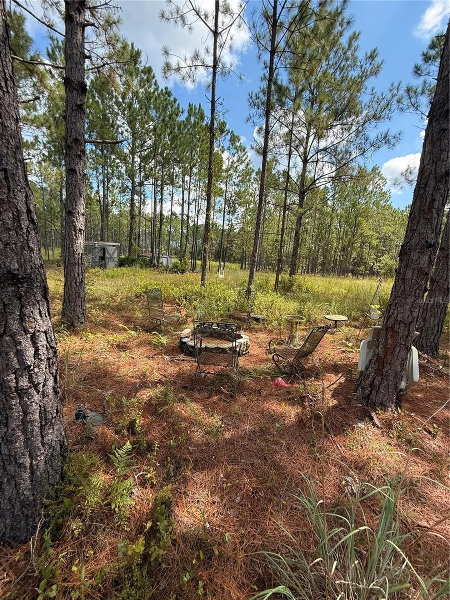 60 Natalies Lane Ormond Beach FL 32174