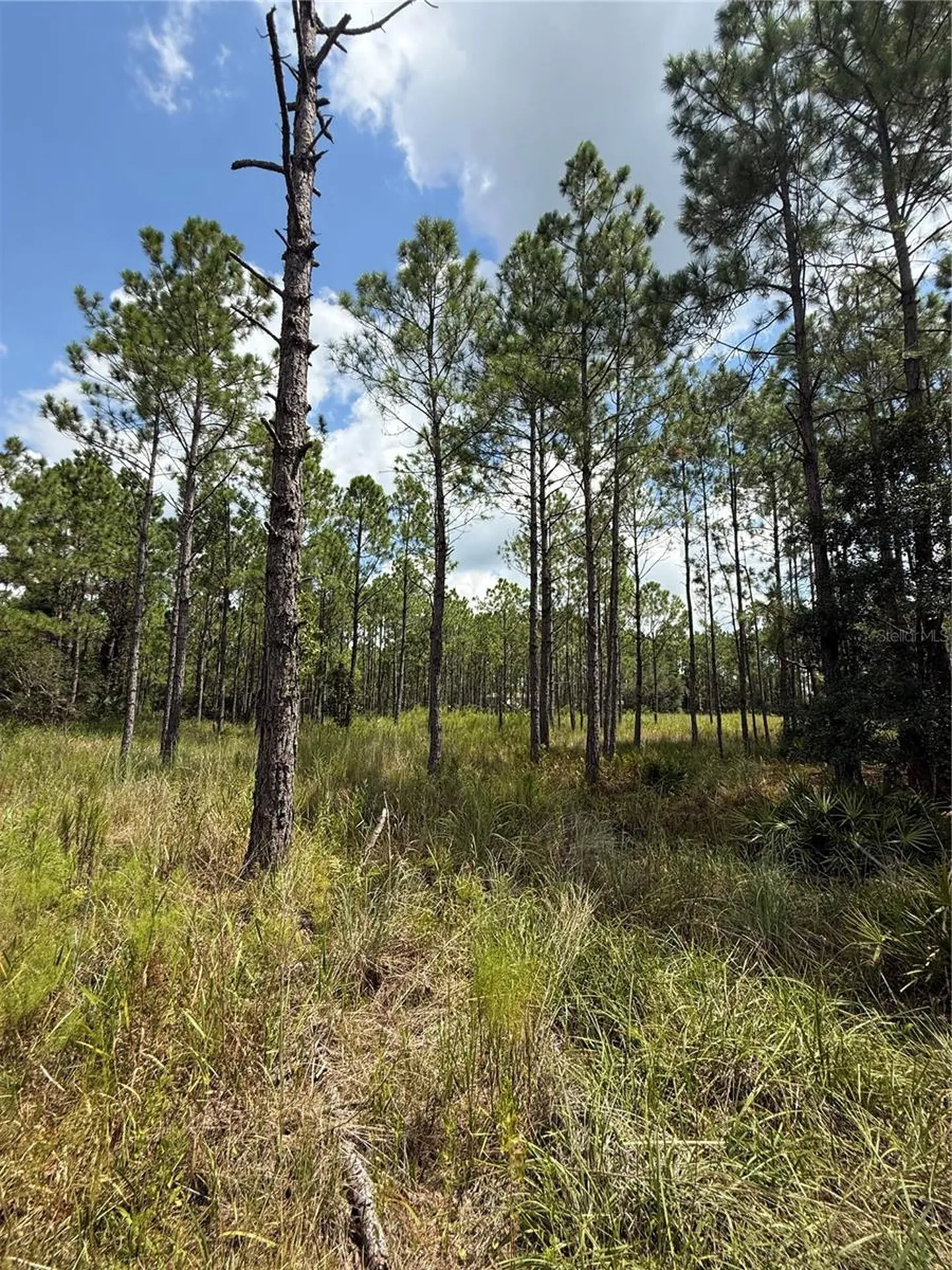 60 Natalies Lane Ormond Beach FL 32174