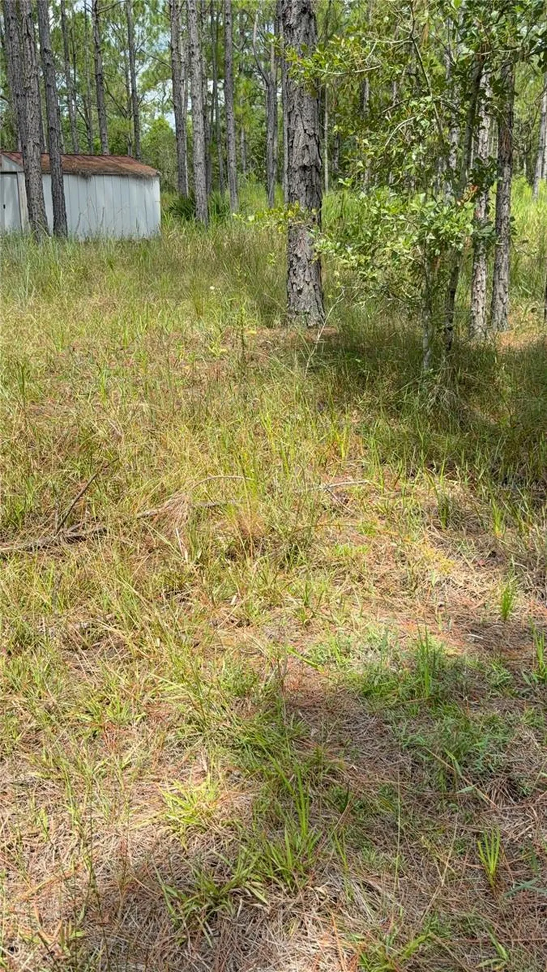 60 Natalies Lane Ormond Beach FL 32174
