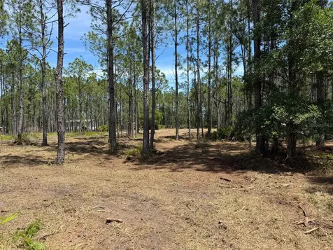 60 Natalies Lane Ormond Beach FL 32174