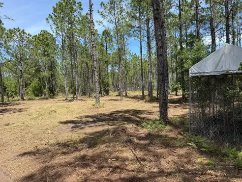 60 Natalies Lane Ormond Beach FL 32174