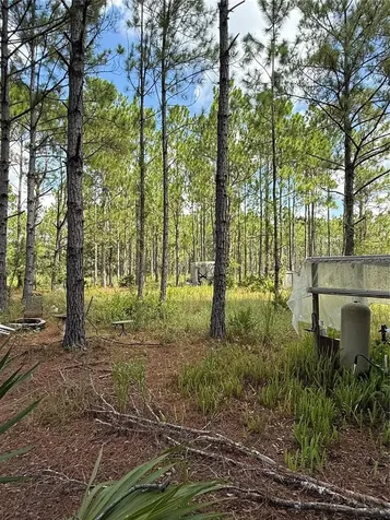 60 Natalies Lane Ormond Beach FL 32174