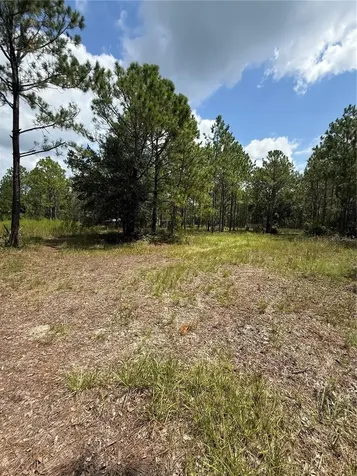 60 Natalies Lane Ormond Beach FL 32174
