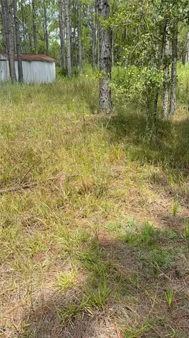 60 Natalies Lane Ormond Beach FL 32174