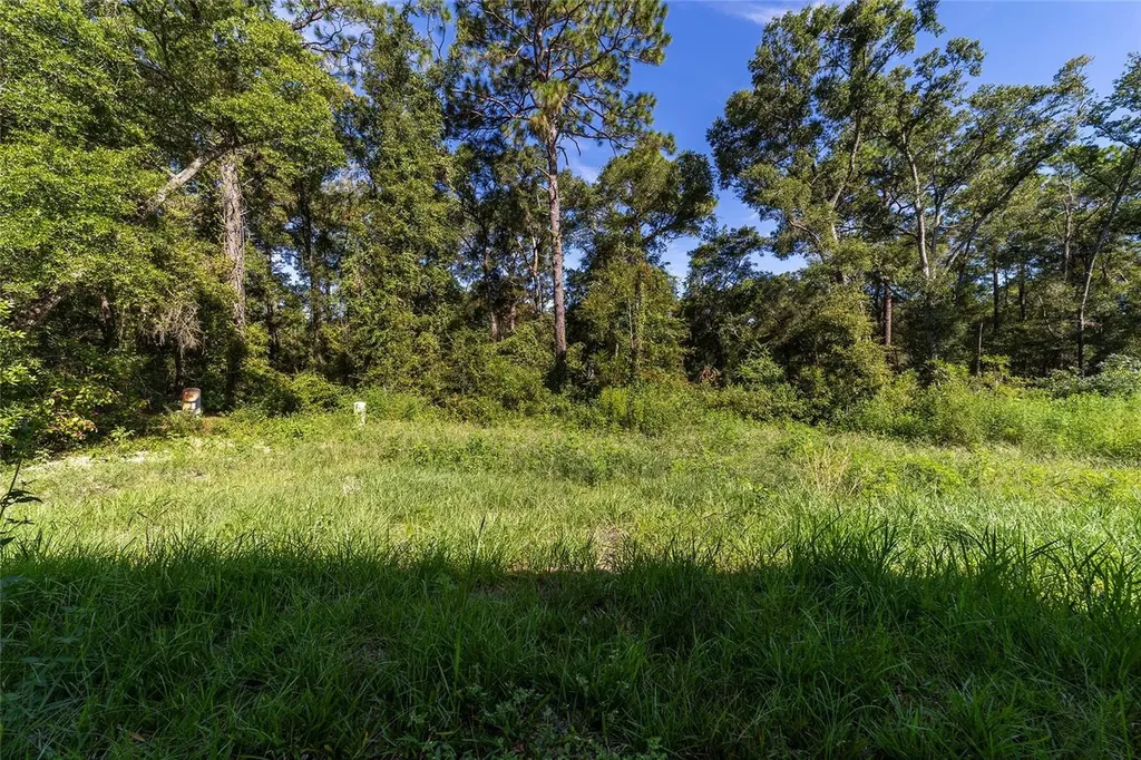 15431 Southwest 41st Street Road Ocala FL 34481