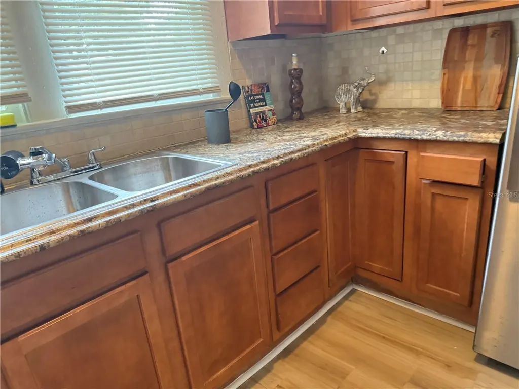 1204 E Emma Street Tampa FL 33603
