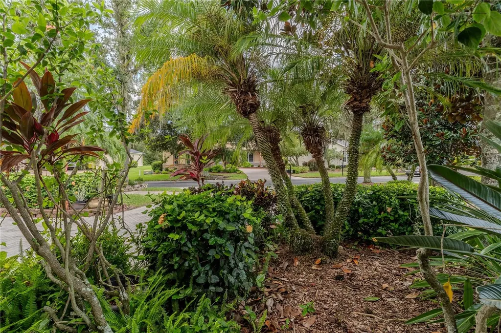 157 Sand Piper Drive Kissimmee FL 34759
