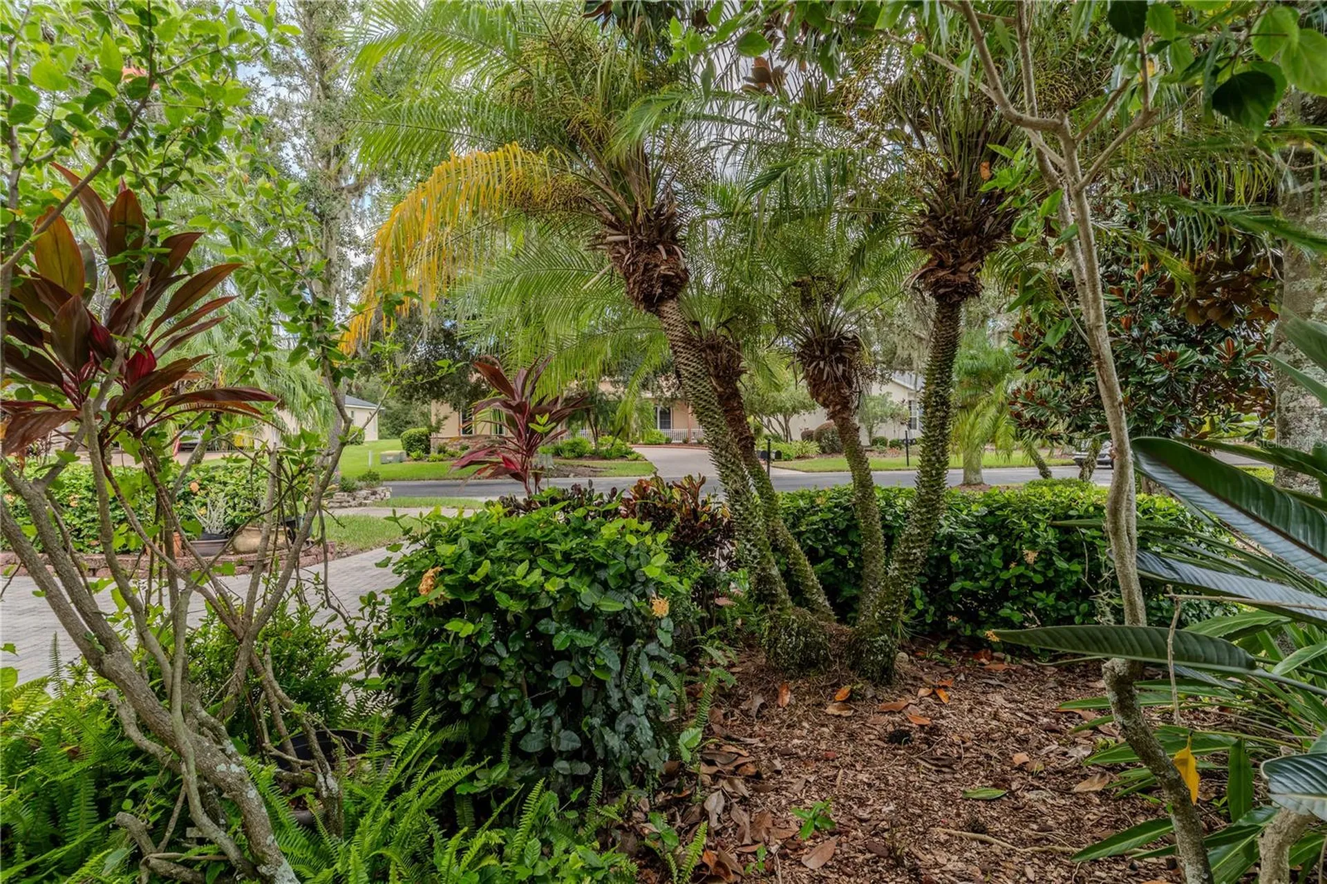 157 Sand Piper Drive Kissimmee FL 34759