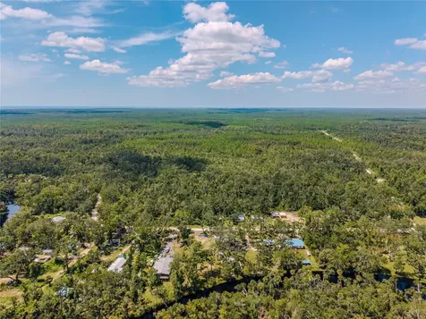 2008 River Road NE Steinhatchee FL 32359