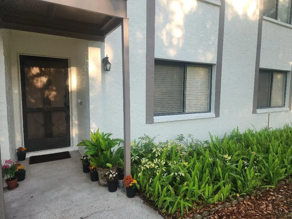 603 Baldwin Avenue Safety Harbor FL 34695