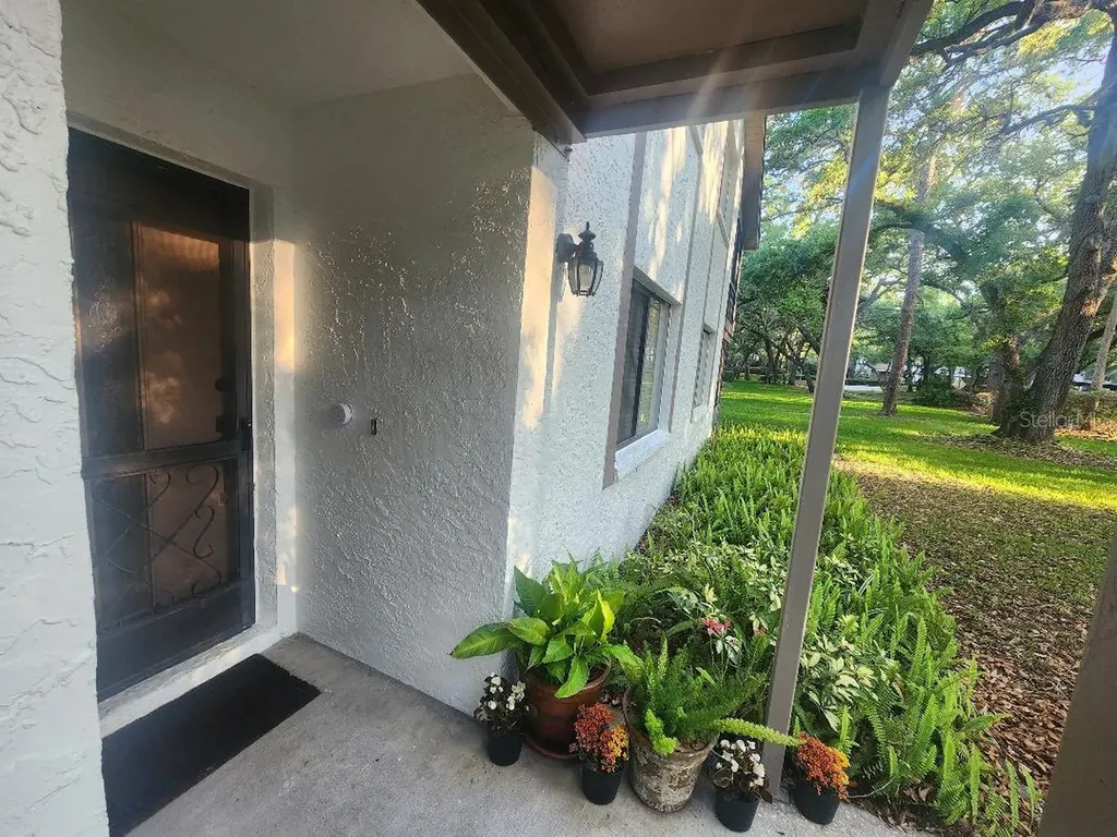 603 Baldwin Avenue Safety Harbor FL 34695