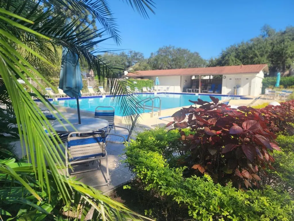 603 Baldwin Avenue Safety Harbor FL 34695