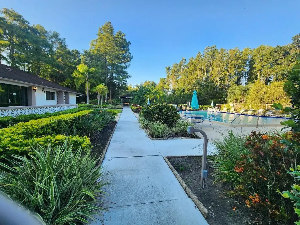 603 Baldwin Avenue Safety Harbor FL 34695