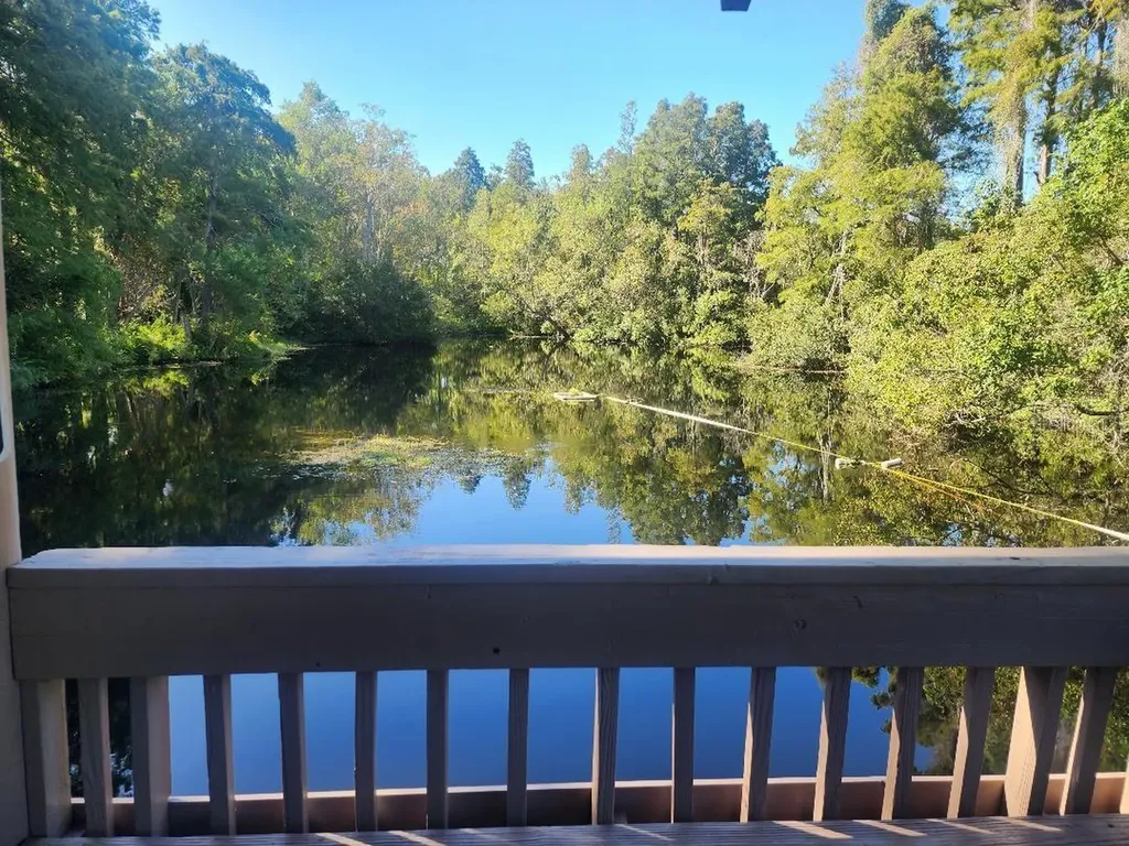 603 Baldwin Avenue Safety Harbor FL 34695
