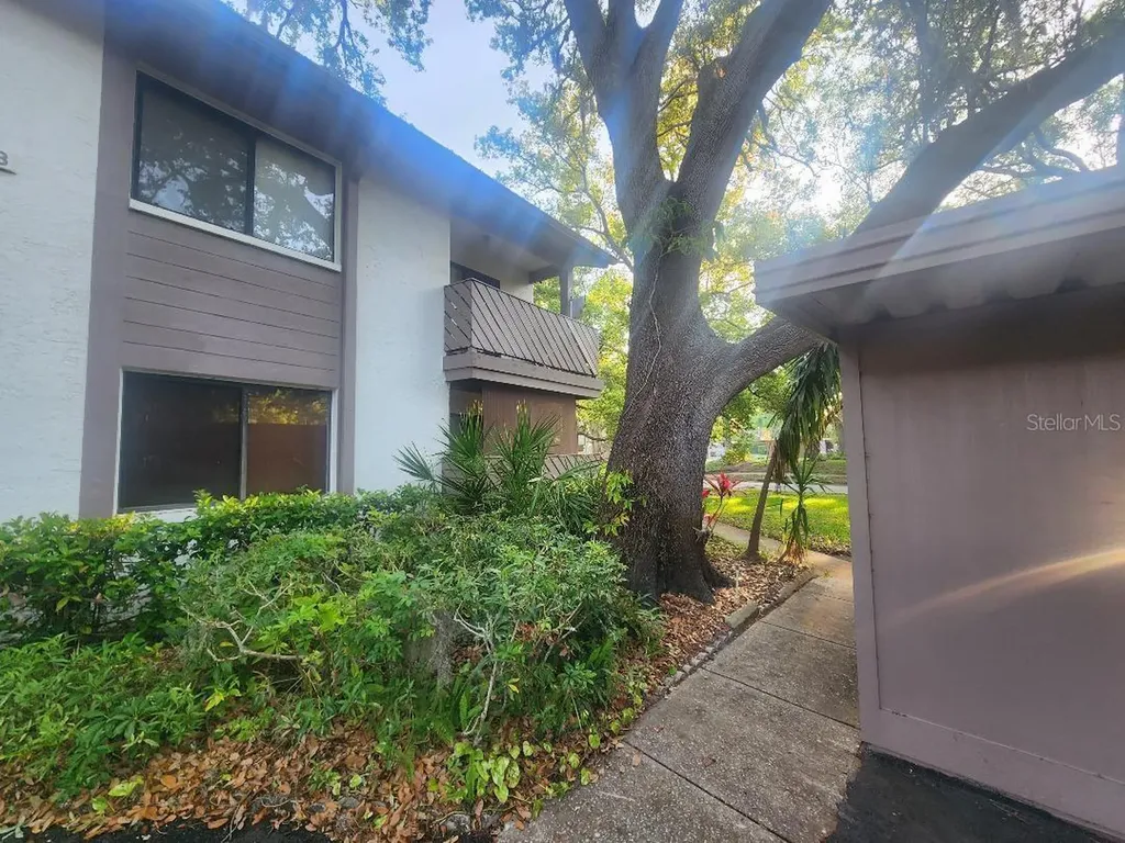 603 Baldwin Avenue Safety Harbor FL 34695