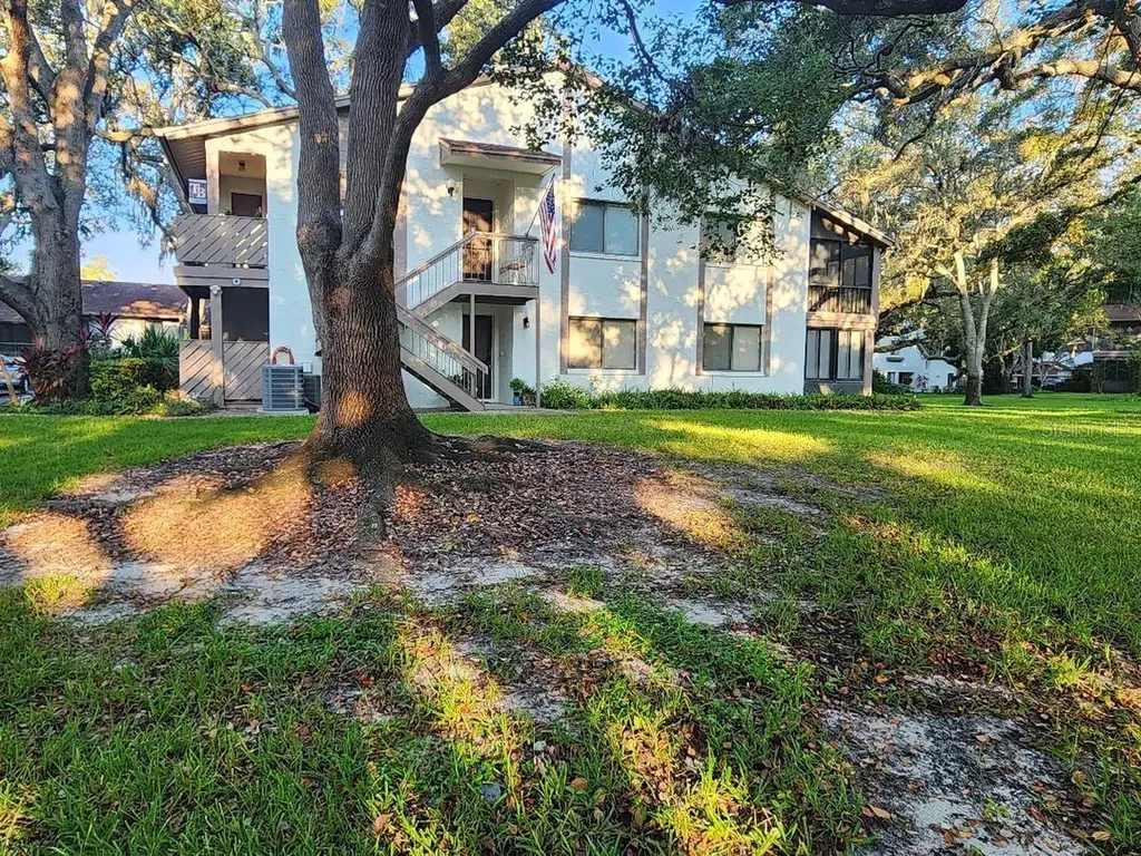 603 Baldwin Avenue Safety Harbor FL 34695