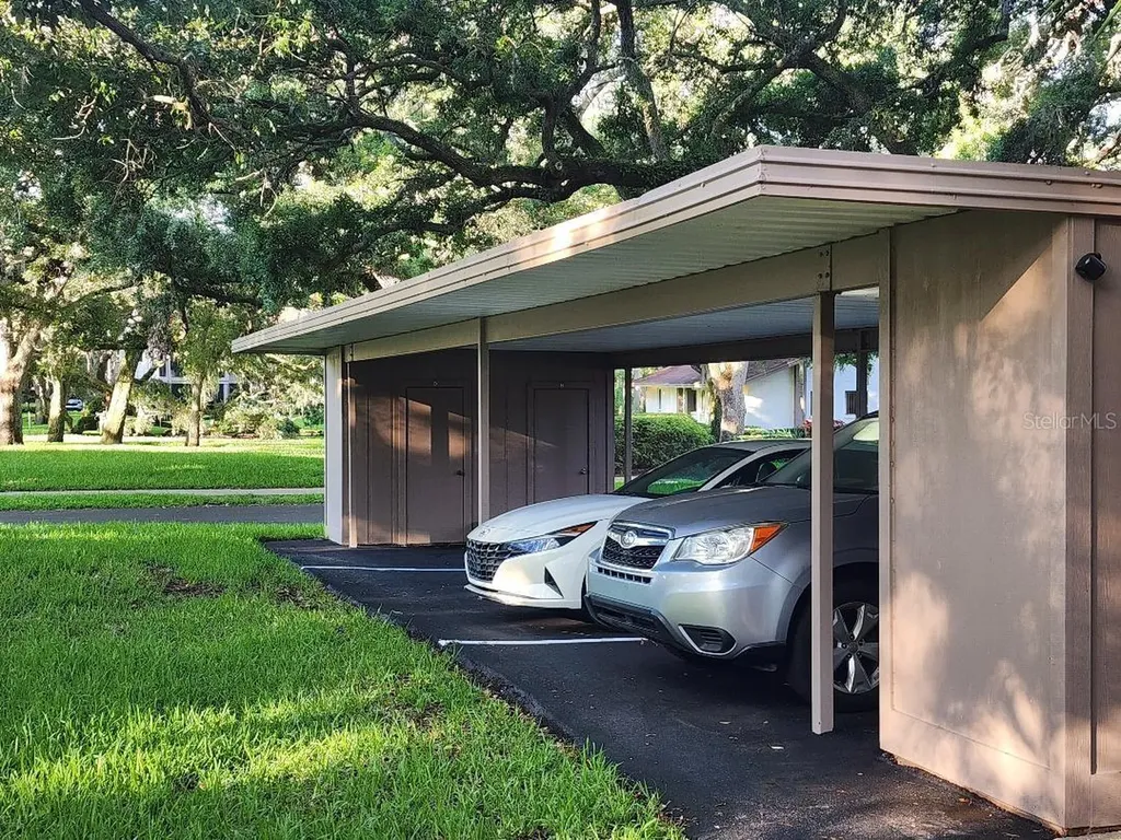 603 Baldwin Avenue Safety Harbor FL 34695