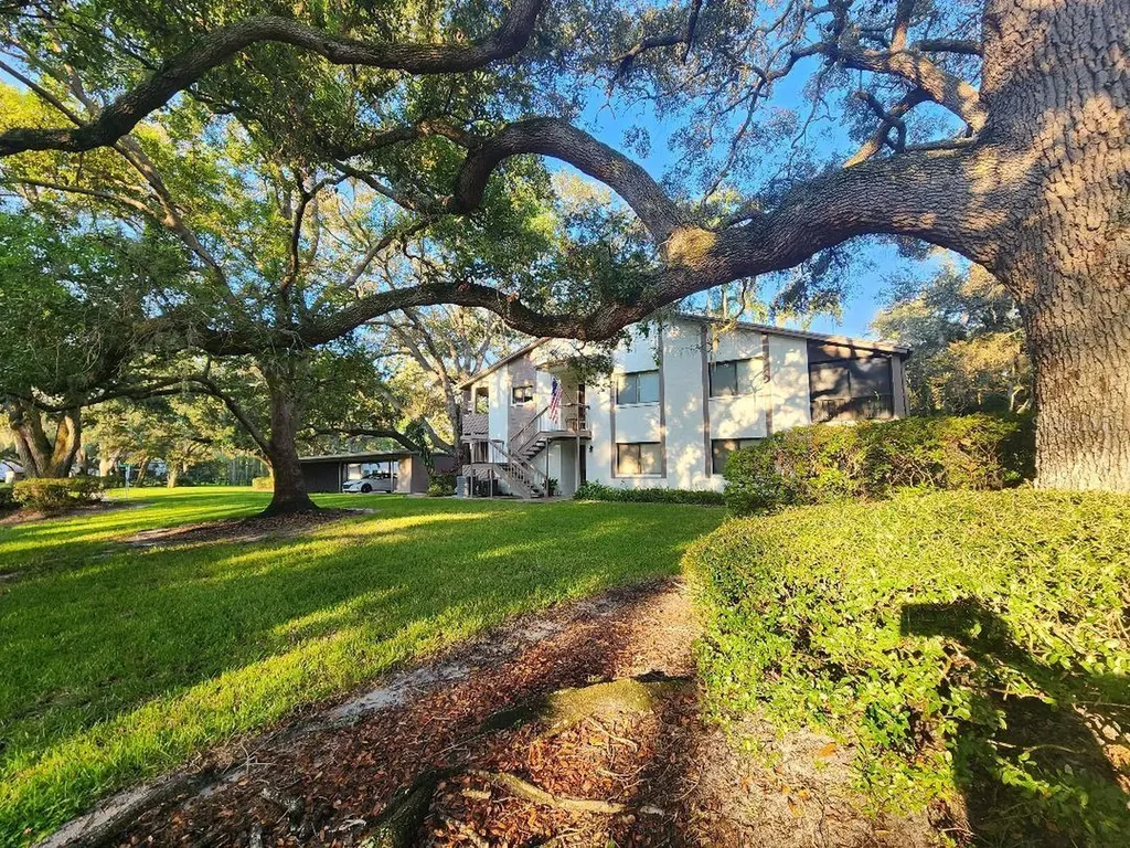 603 Baldwin Avenue Safety Harbor FL 34695