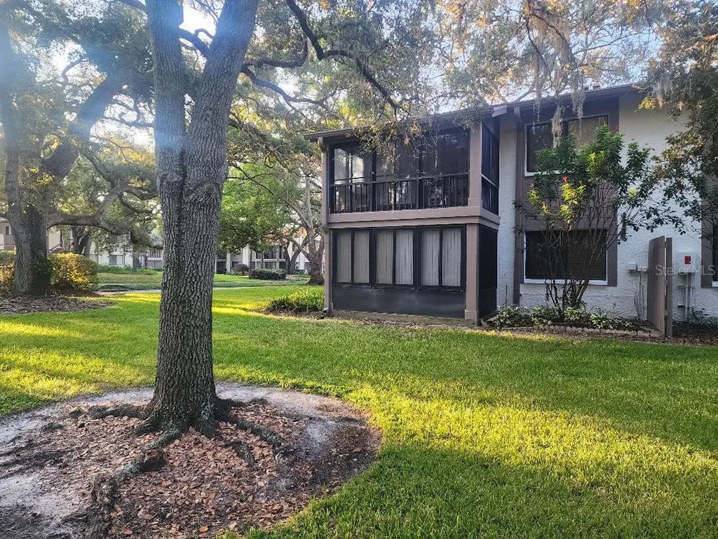 603 Baldwin Avenue Safety Harbor FL 34695