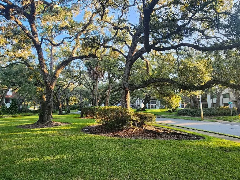 603 Baldwin Avenue Safety Harbor FL 34695