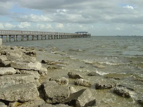 603 Baldwin Avenue Safety Harbor FL 34695