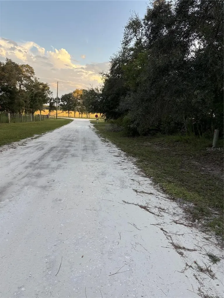 SE 131 Street Avenue Morriston FL 32668