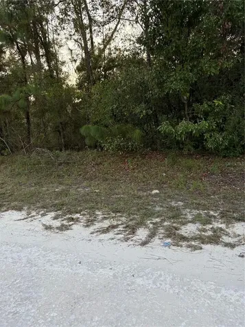 SE 131 Street Avenue Morriston FL 32668