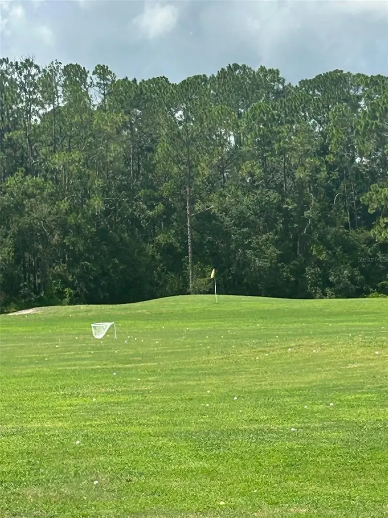 25119 Cranes Roost Circle Leesburg FL 34748