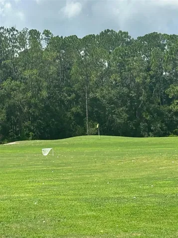 25119 Cranes Roost Circle Leesburg FL 34748