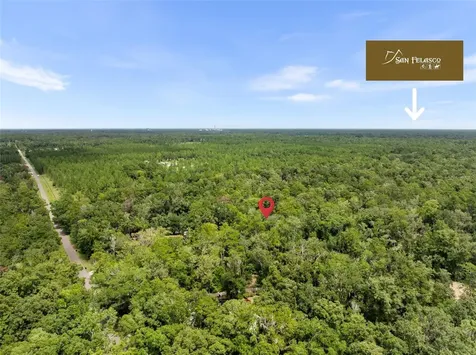 6916 NW 67th Avenue Gainesville FL 32653
