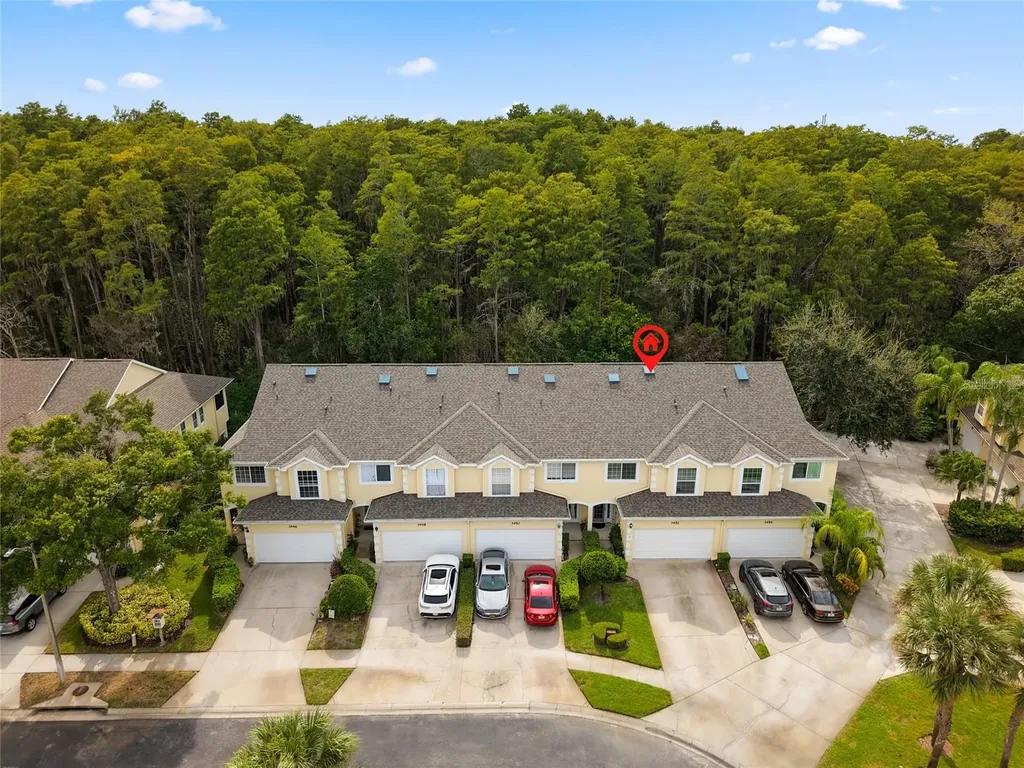 3452 Primrose Way Palm Harbor FL 34683