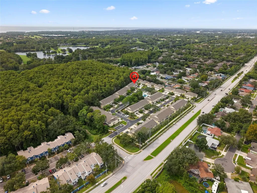 3452 Primrose Way Palm Harbor FL 34683