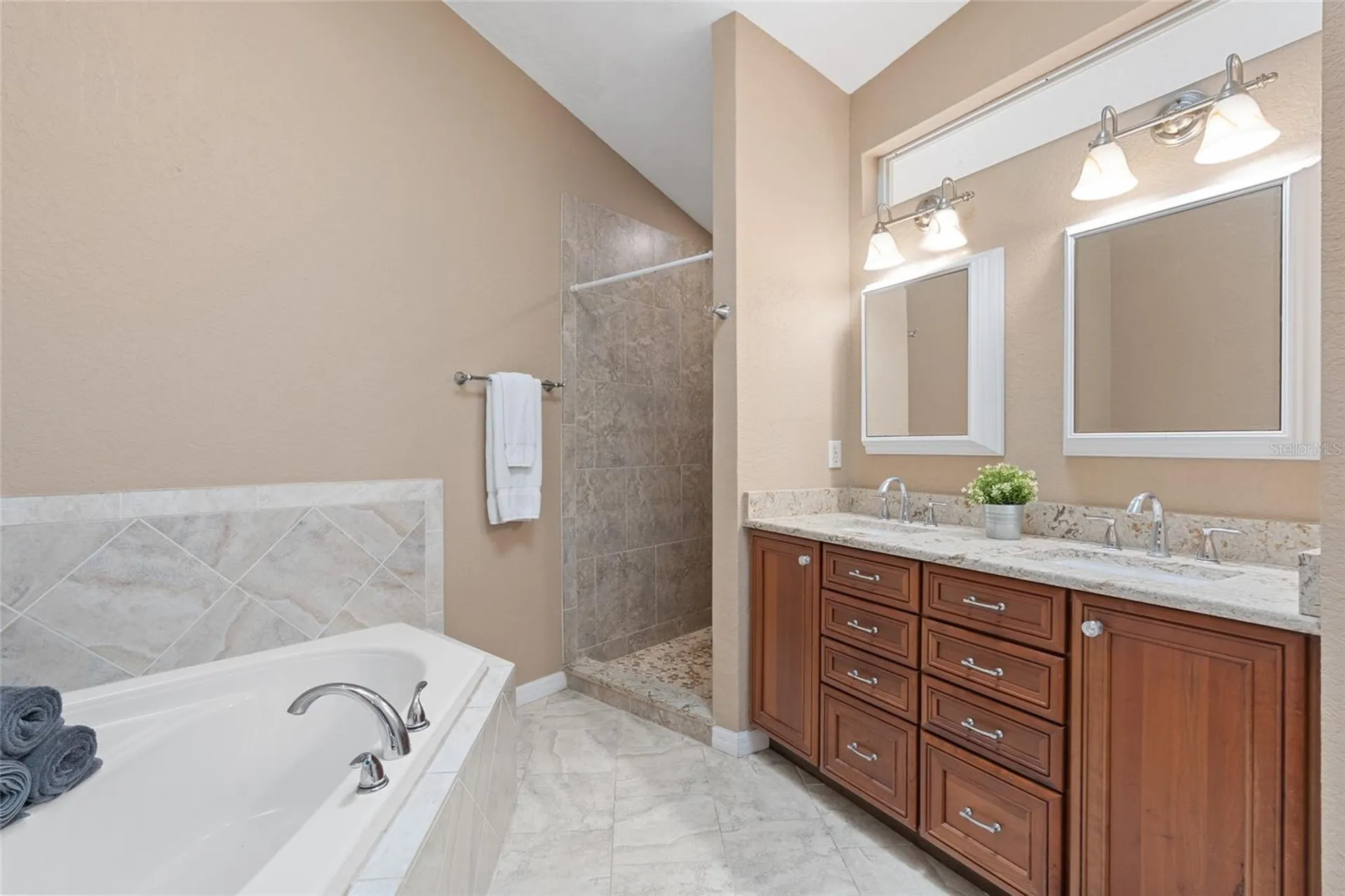 3452 Primrose Way Palm Harbor FL 34683