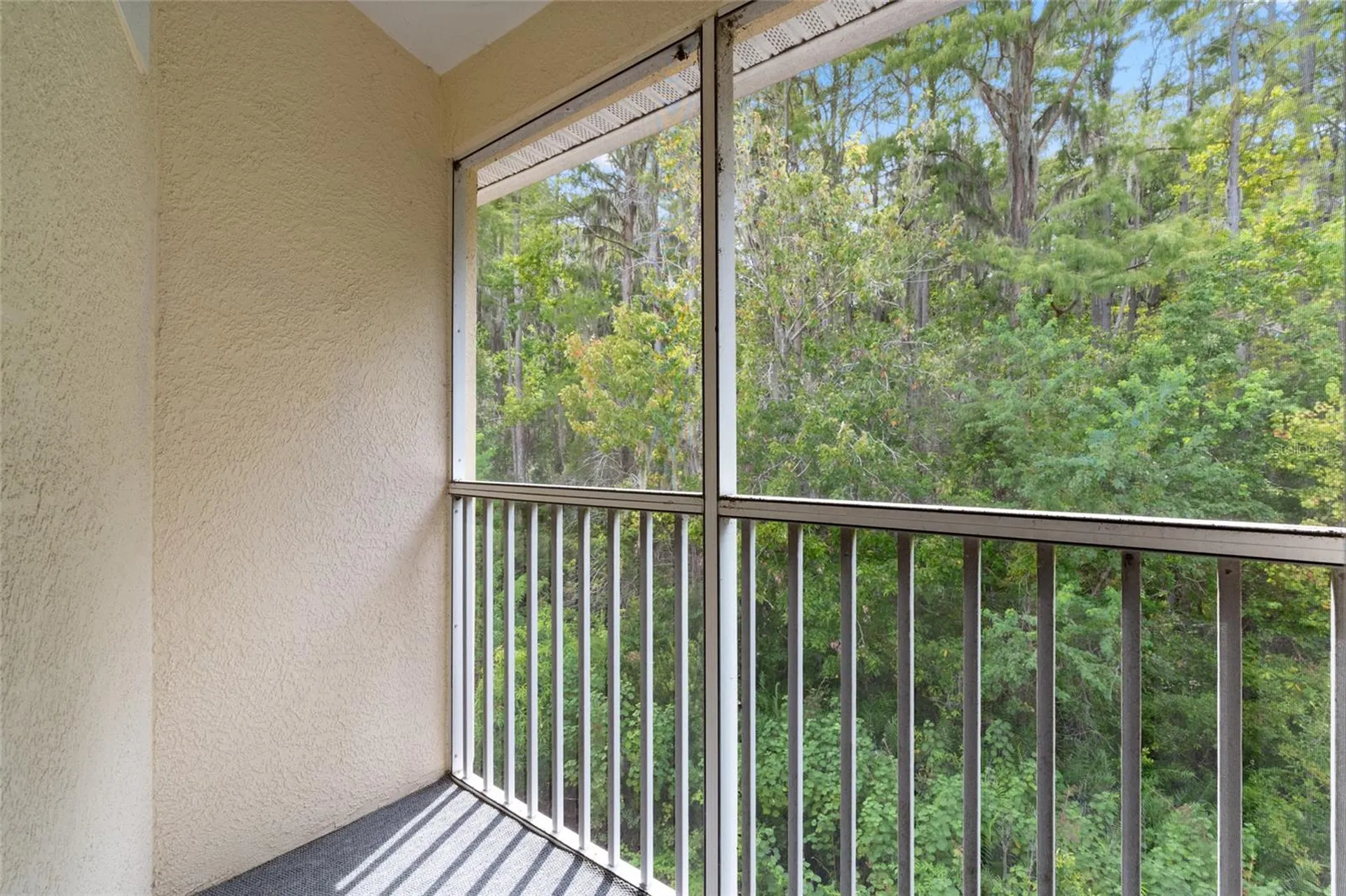 3452 Primrose Way Palm Harbor FL 34683