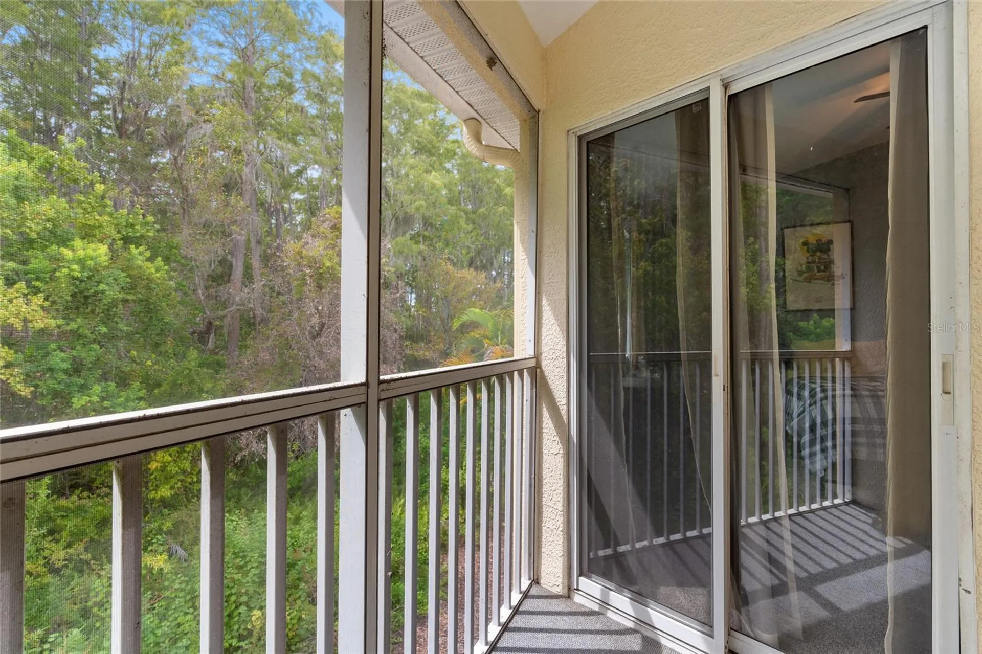 3452 Primrose Way Palm Harbor FL 34683