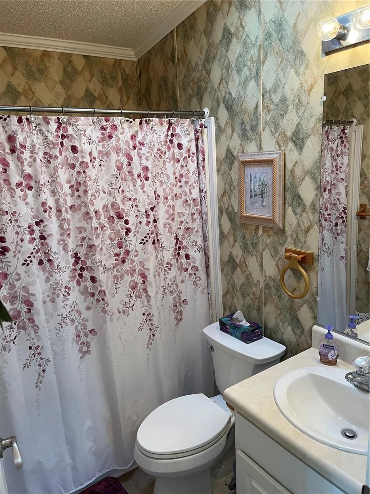 21 Queen Of Waters Street Lake Wales FL 33898