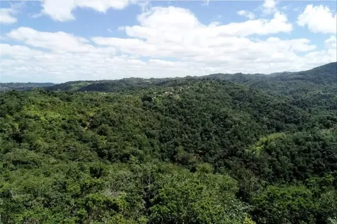 CARR.140 Bo Mameyes Abajo Utuado PR 00641