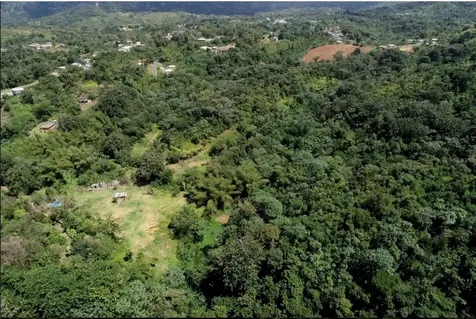 CARR.140 Bo Mameyes Abajo Utuado PR 00641