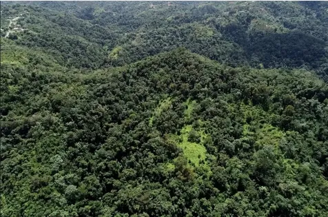 CARR.140 Bo Mameyes Abajo Utuado PR 00641