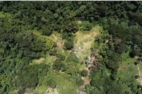 CARR.140 Bo Mameyes Abajo Utuado PR 00641