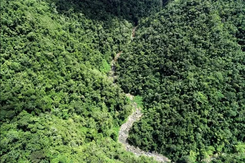 CARR.140 Bo Mameyes Abajo Utuado PR 00641