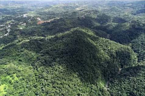 CARR.140 Bo Mameyes Abajo Utuado PR 00641