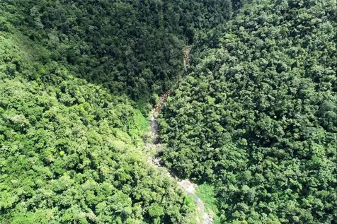 CARR.140 Bo Mameyes Abajo Utuado PR 00641