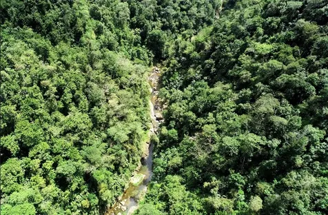 CARR.140 Bo Mameyes Abajo Utuado PR 00641