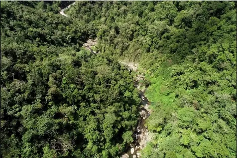 CARR.140 Bo Mameyes Abajo Utuado PR 00641