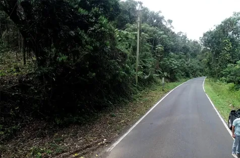 CARR.140 Bo Mameyes Abajo Utuado PR 00641
