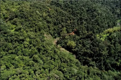 CARR.140 Bo Mameyes Abajo Utuado PR 00641