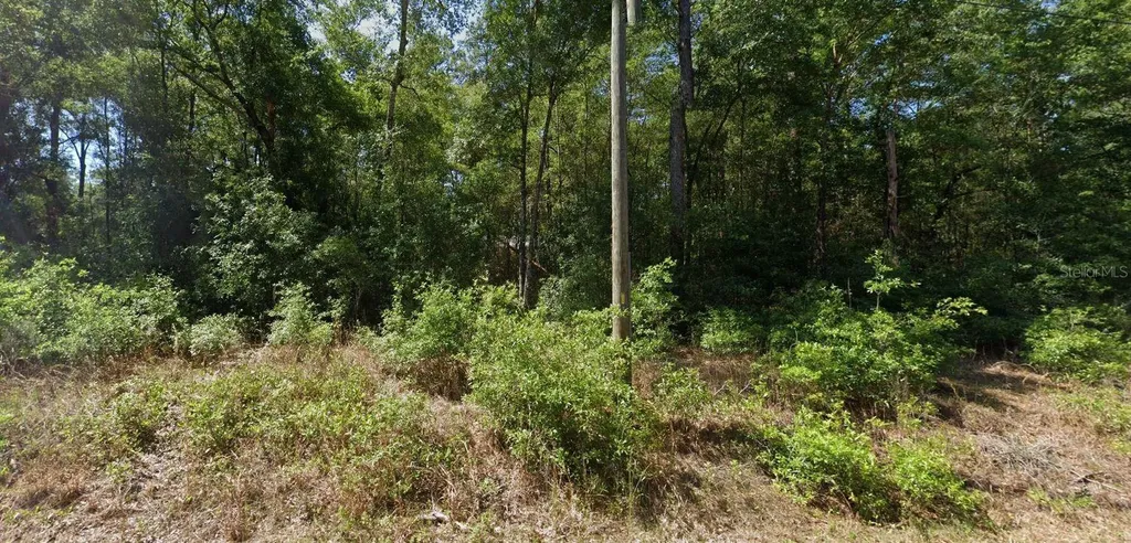 00 SW Starling Drive Dunnellon FL 34431