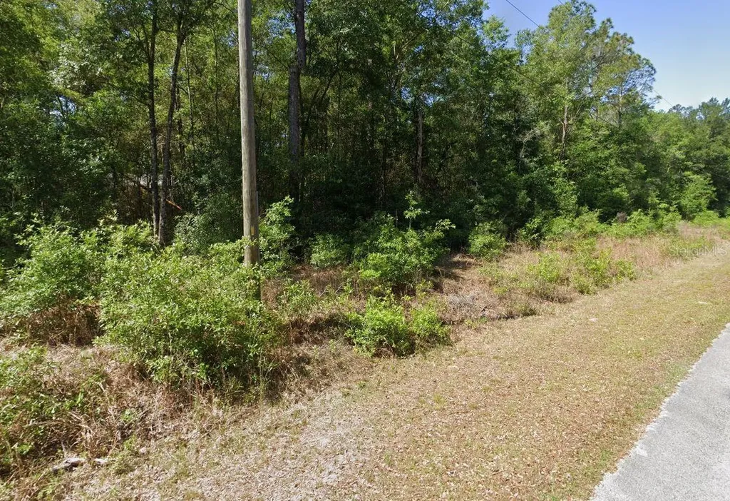 00 SW Starling Drive Dunnellon FL 34431
